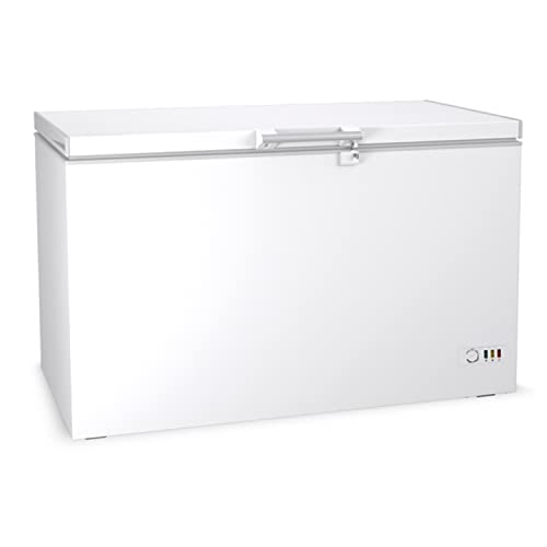 Congelatore Freezer a Pozzetto - con Anta a Battente - Refrigerazione da - 18 a -24°C - Capacità 295 lt