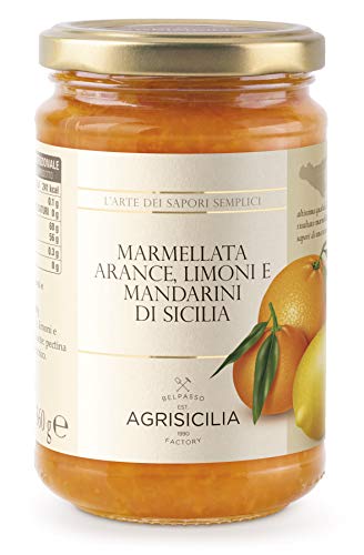 Agrisicilia Marmellata di Arance, Limoni e Mandarini di Sicilia - 360 g