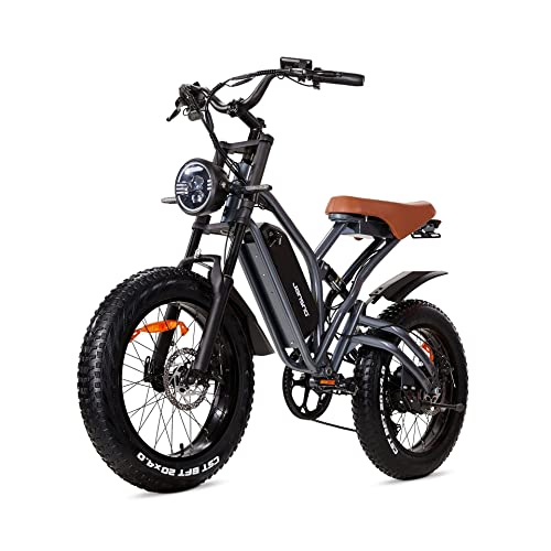 JANSNO Bicicletta Elettrica 20'x 4.0 Fat Tire, Shimano 7spd, Freni a Disco Meccanici Anteriori e Posteriori, E-Bike per Adulti, Batteria Rimovibile 48V 12.8Ah